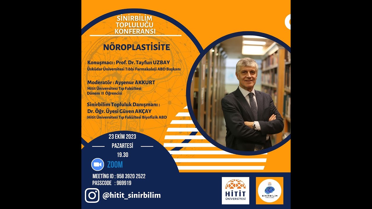 N&ouml;roplastisite (Prof. Dr. Tayfun UZBAY)
