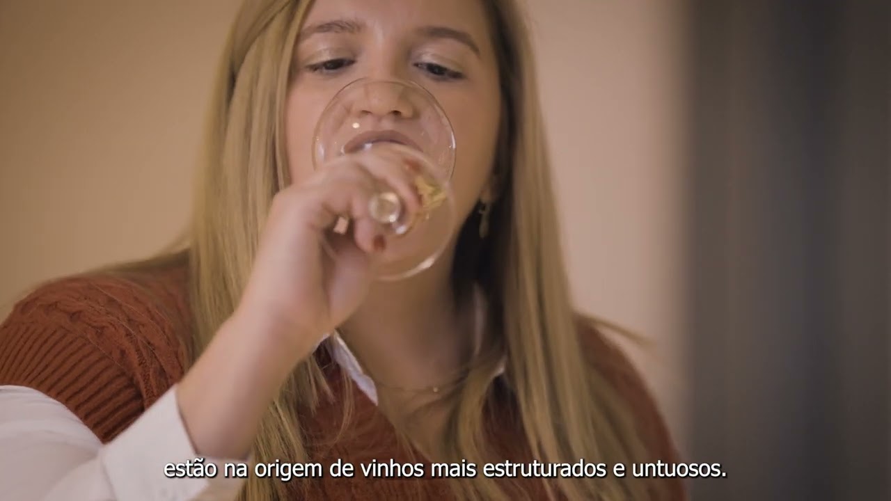 Aveleda Partilha - Aveleda Solos de Xisto