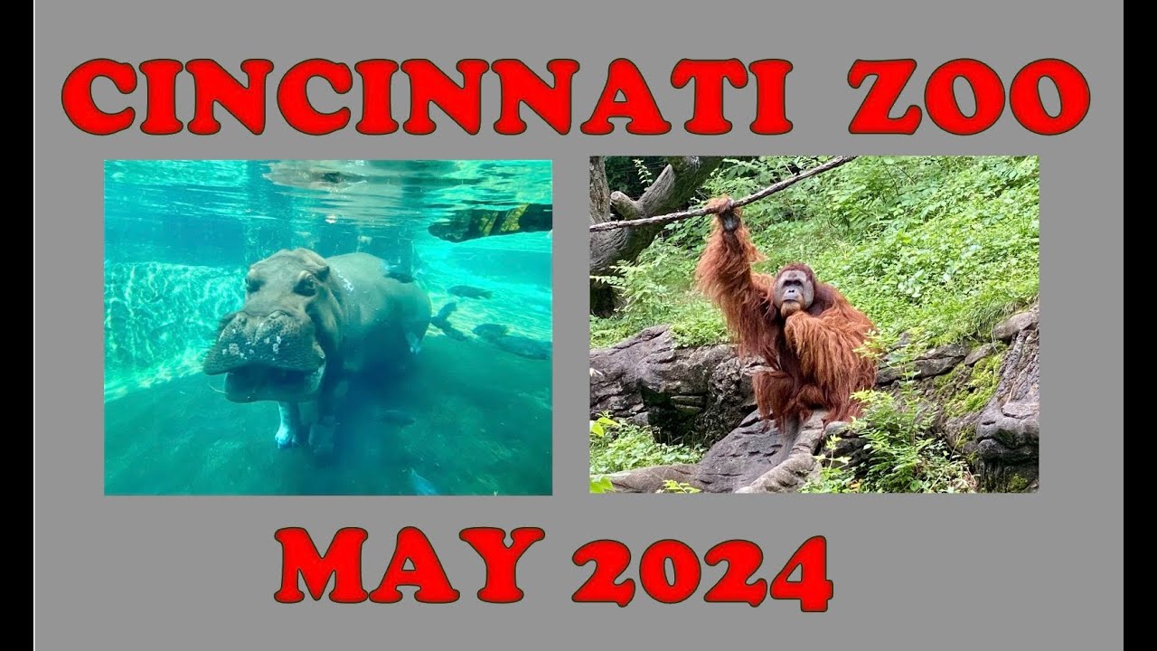 We visit the Cincinnati Zoo
