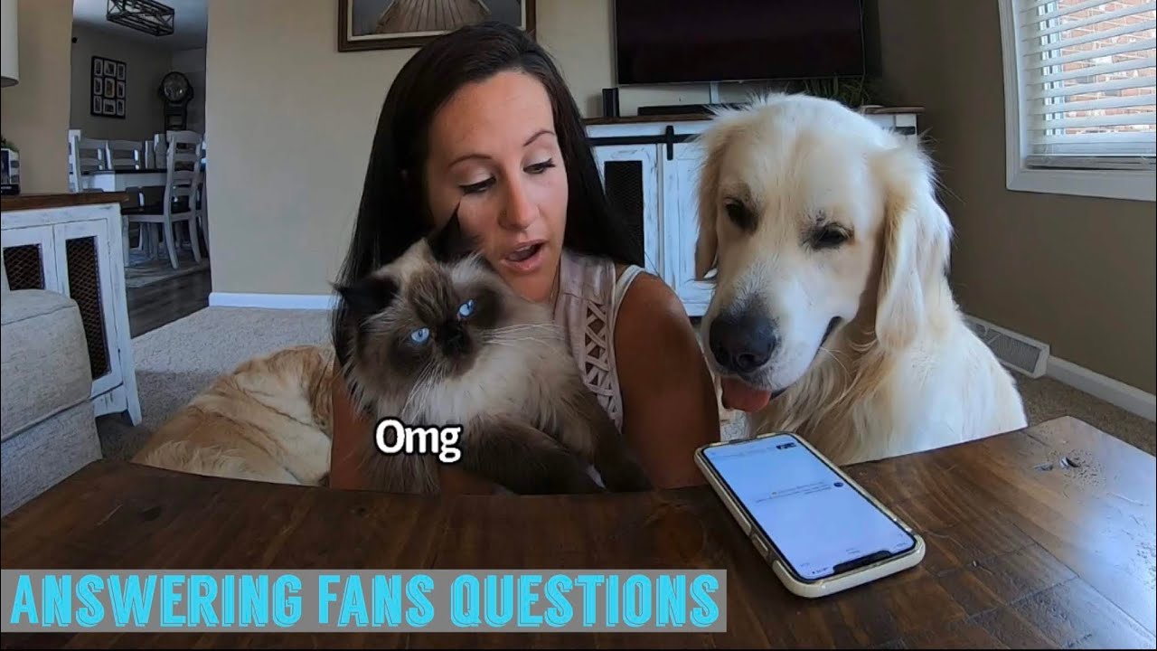 Answering Fans Questions