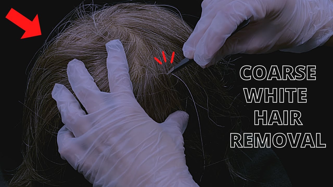 [ASMR] Plucking White Hairs | Super Satisfying