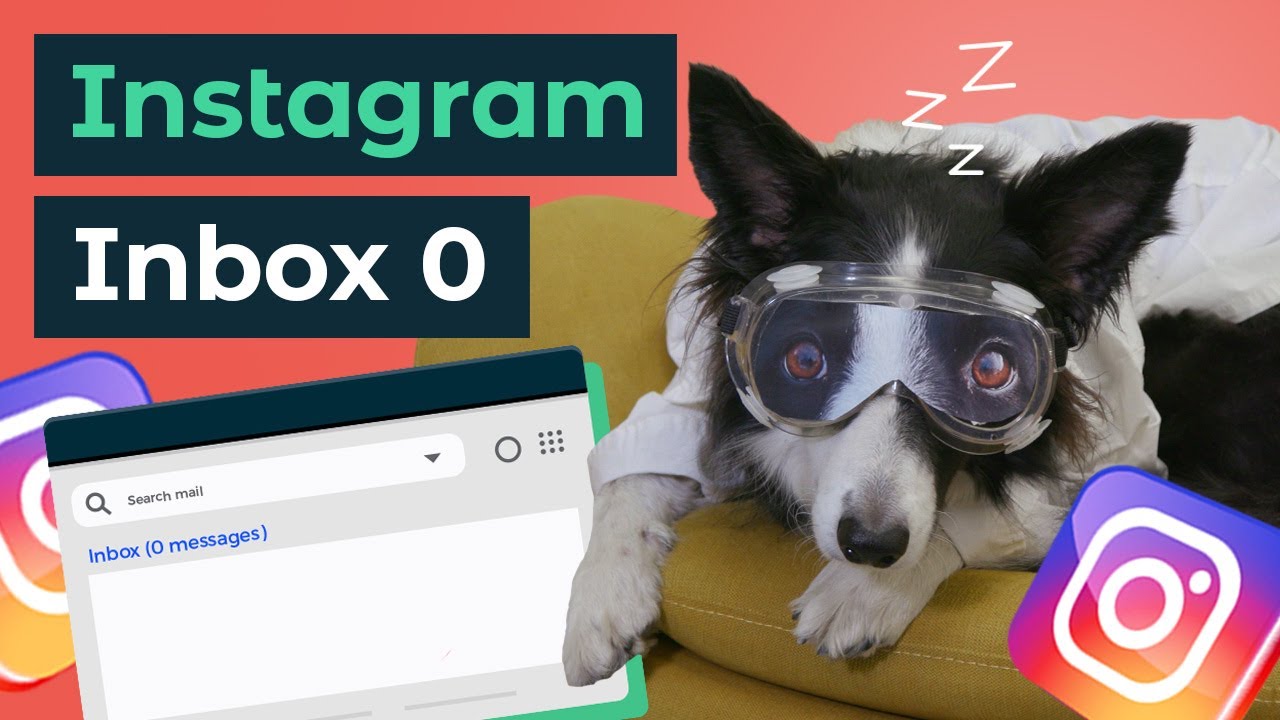 How to set up Instagram auto reply messages and take a dognap