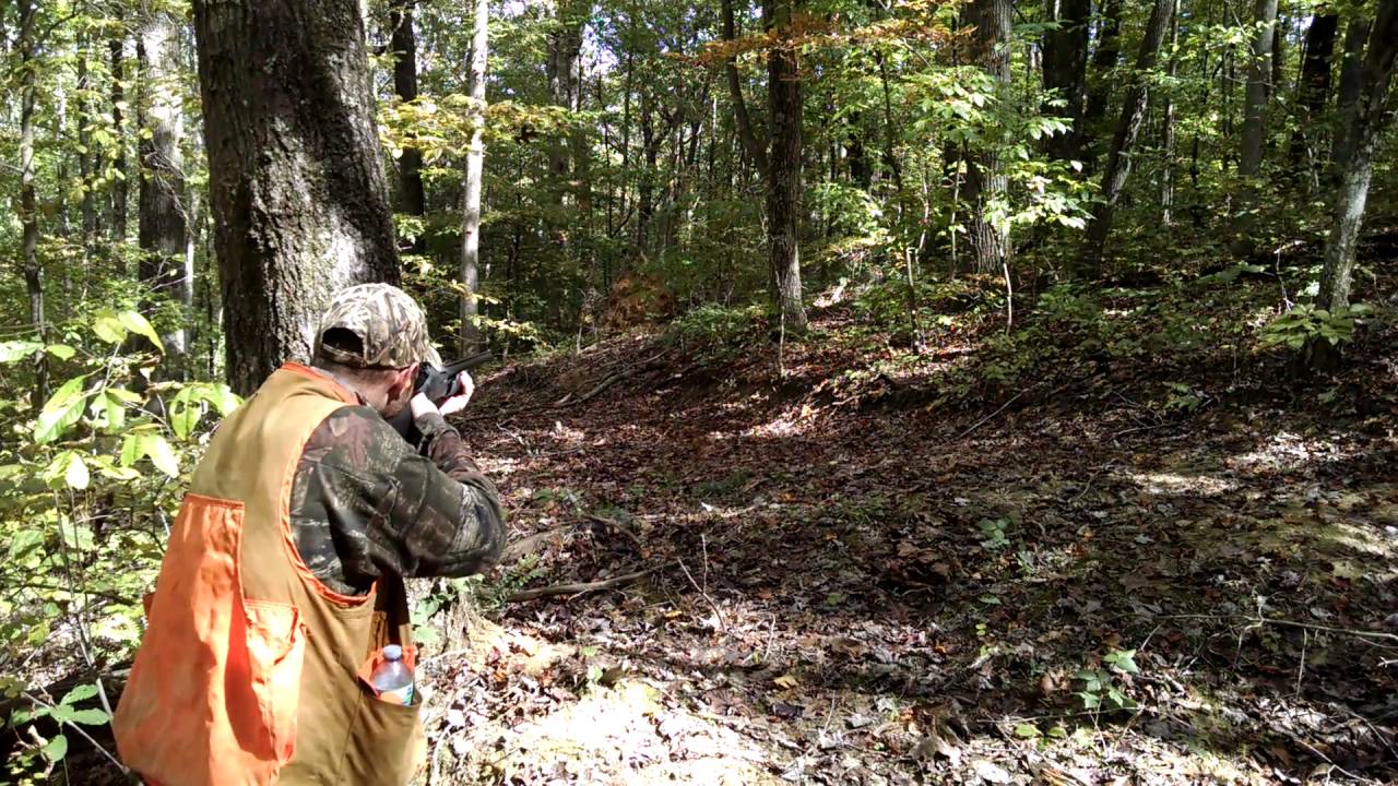 Shooting the hawk IAC 981 / maverick 88 20g