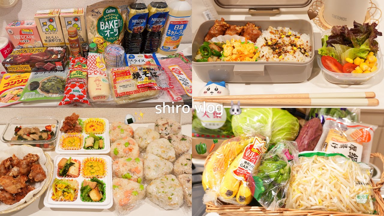 【 食費月一万円 】節約女子の爆買いウエル活🐶 / 週末1時間で作り置き👩‍🍳 / 節約を支える家計簿術📔