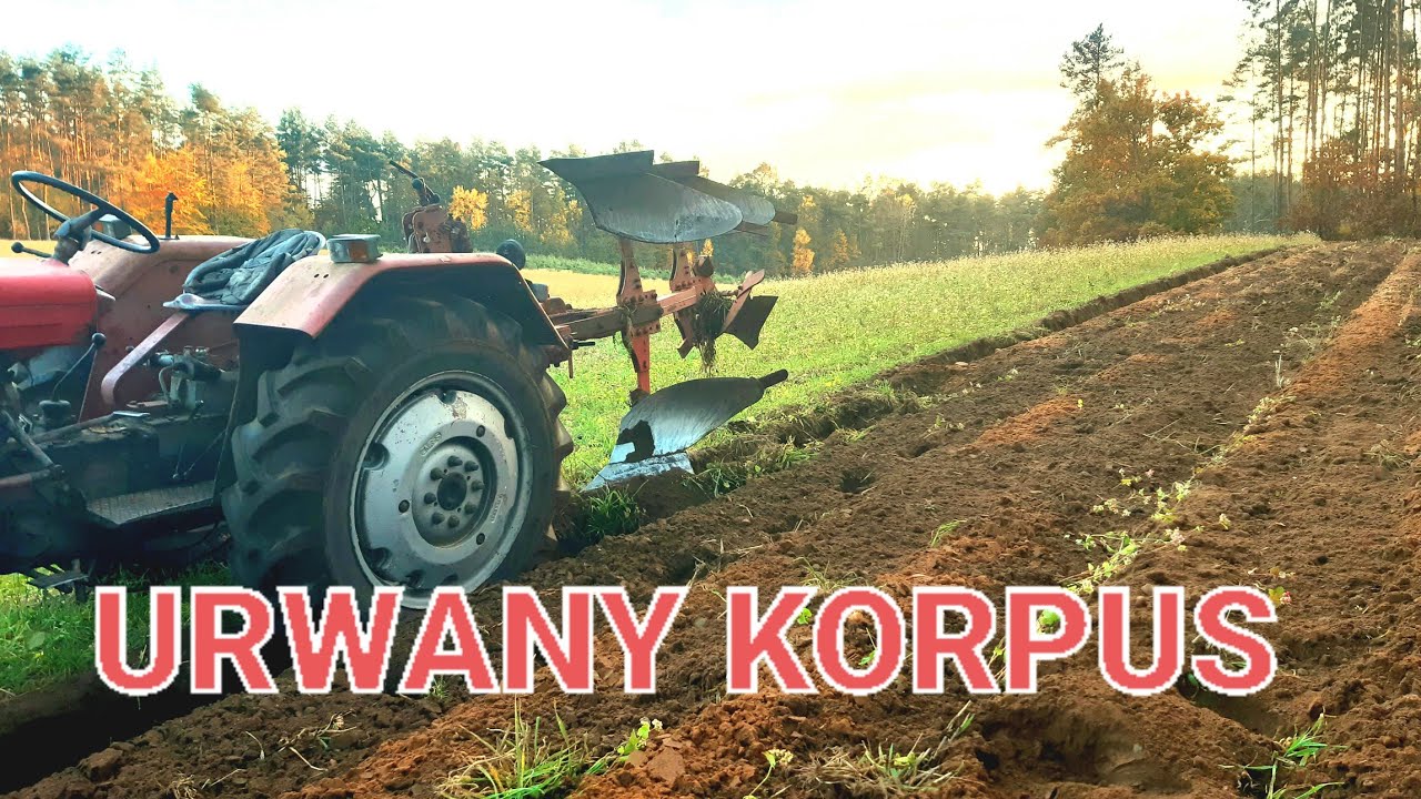 Rozerwałem Pług☆Ustawianie Obrotu Krone Romanus☆
