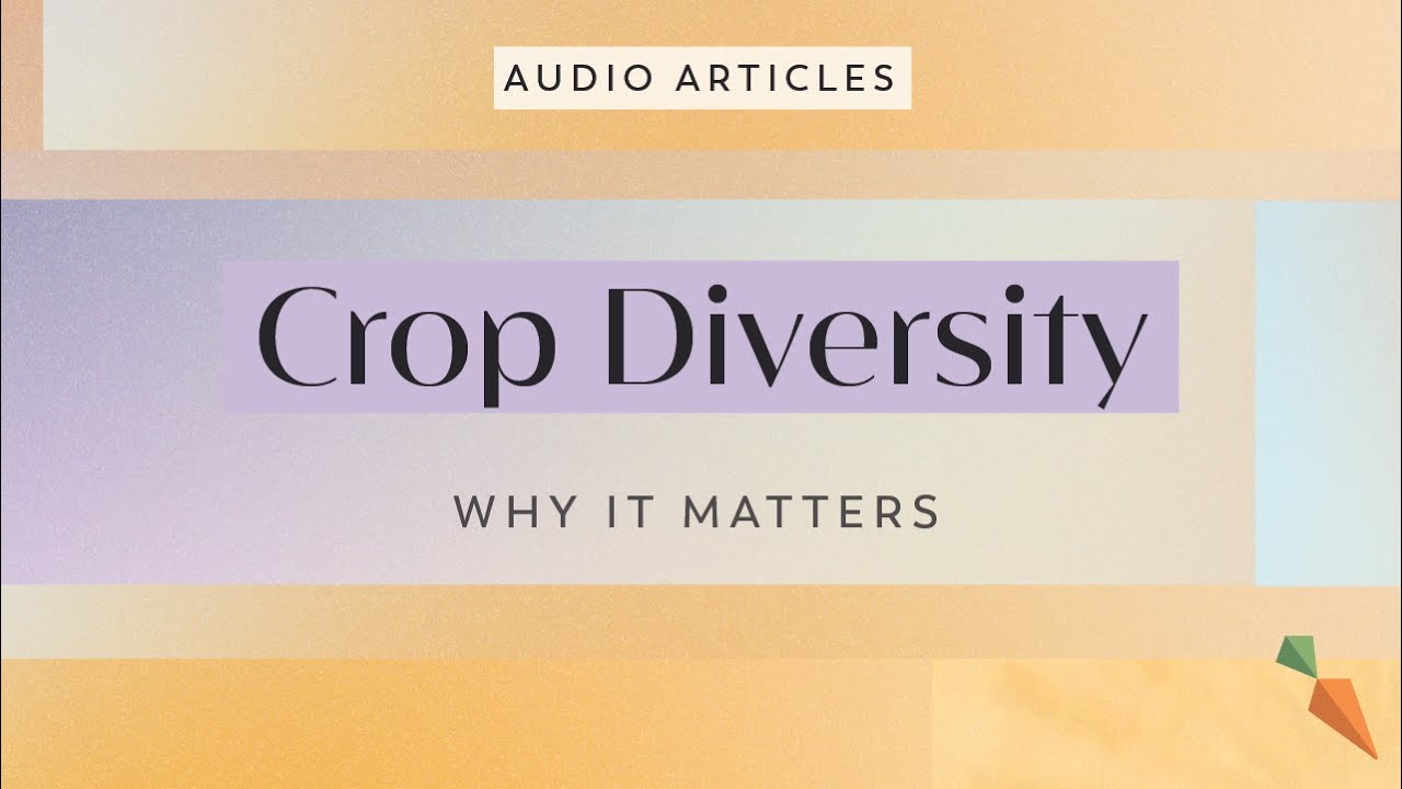 Crop Diversity: Why It Matters | FoodUnfolded AudioArticle