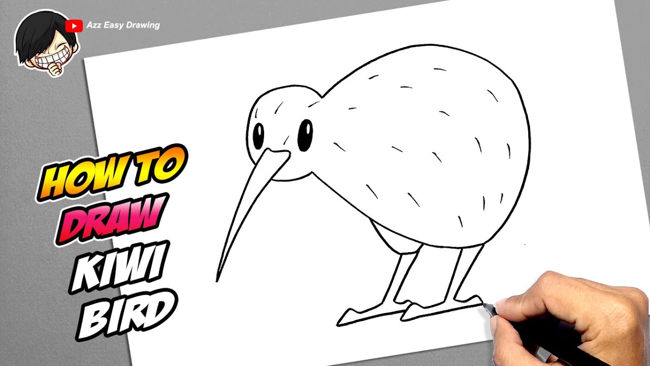 How to draw Cartoon Kiwi Bird