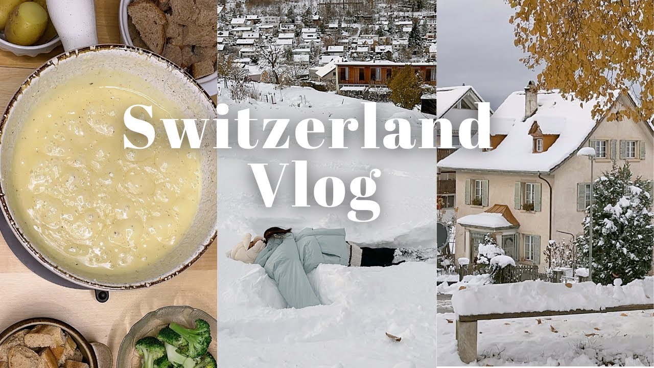 vlog스위스 직장인 브이로그🇨🇭폭설에 갇혀버렸다..| 올해 첫 퐁듀 먹방 | 한국 여행 직후 8시간 시차극복기 | 웰컴백 도시락 지옥