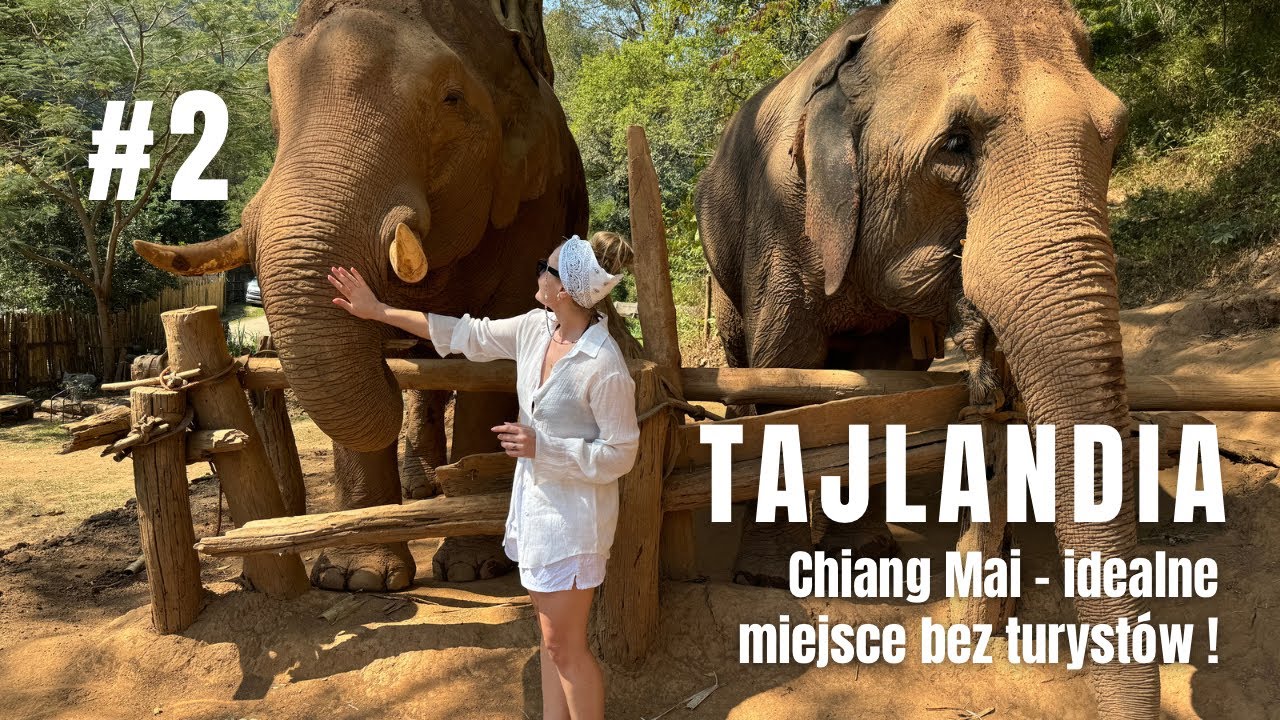 Tajlandia: Chiang Mai, Sanktuarium Słoni, Rafting i niesamowity nocleg ⛰️