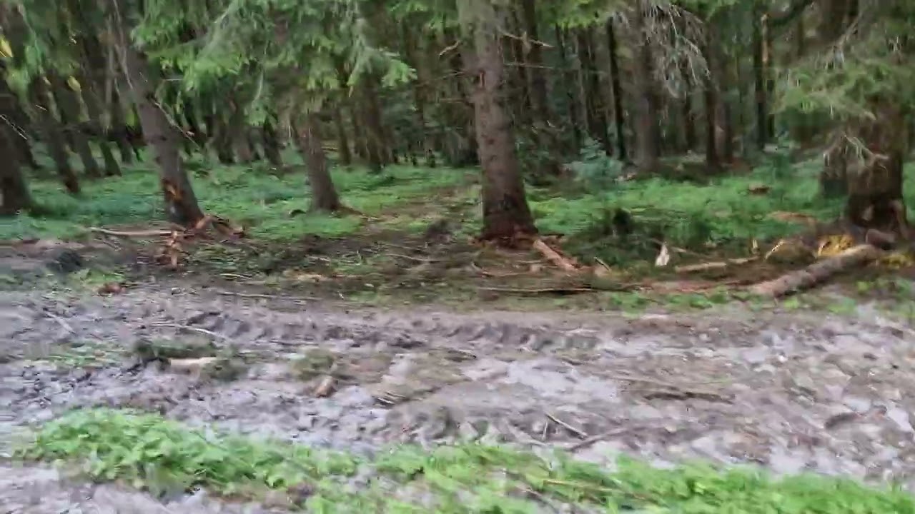 Putovanie 