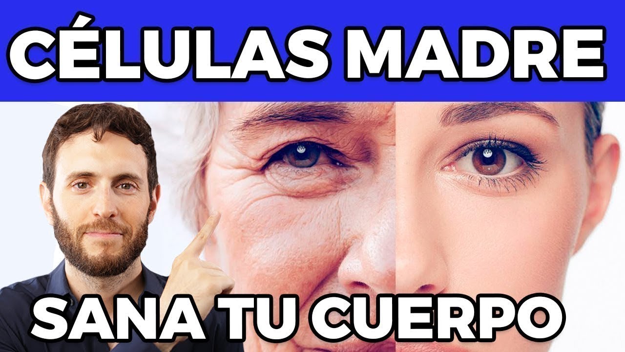 Cómo las CÉLULAS MADRE pueden Rejuvenecerte