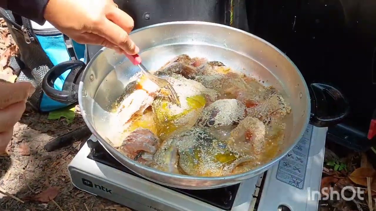 AQUELE ALMOÇO DE DEIXAR VOCÊS COM ÁGUA NA BOCA 😋+ NUNCA PEGUEI TANTA PIRAMBEBA CÊ TA DOIDO 😜