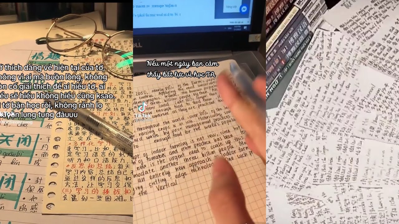 [Tiktok] - Study account - Động lực học tiếng Trung mỗi ngày #33 [Han0305]