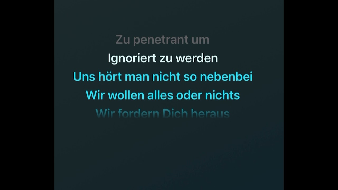 SteffBoe - Zu nah an der Wahrheit Karaoke