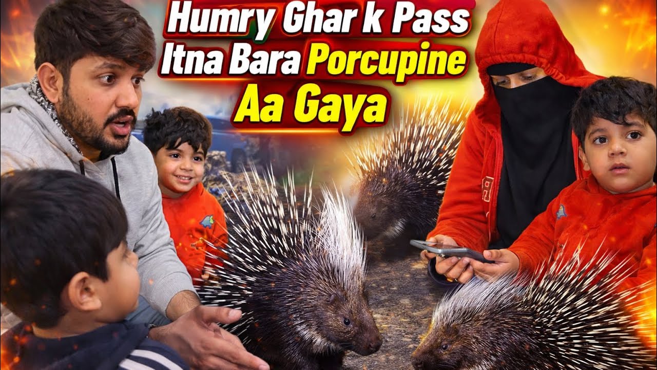 Humry ghar k Pass ya kiya aa gaya .. babar akbar vlog