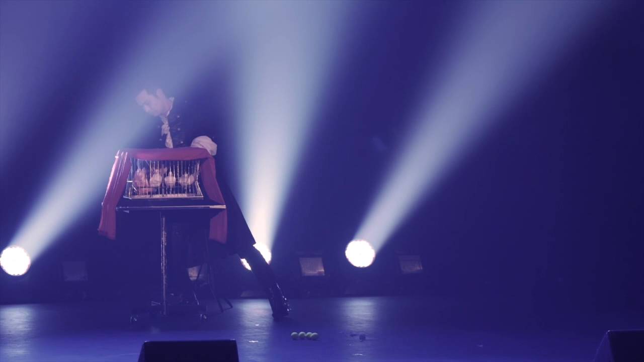 Magic Mondays by Kel - The Dove Act