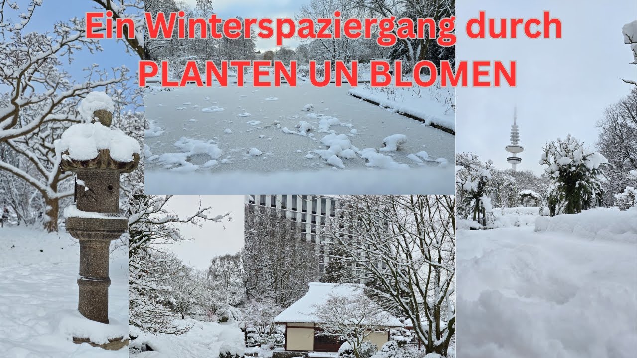 Ein Winterspaziergang durch Planten un Blomen am 04.01.2026
