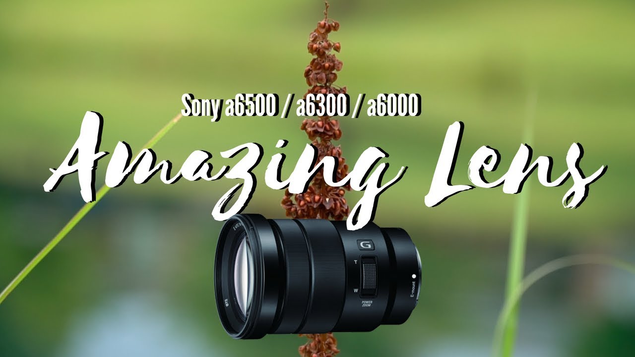 Sony 18-105mm F4 - The Best Lens For Video...? //  Sample Footage // SELP18105G