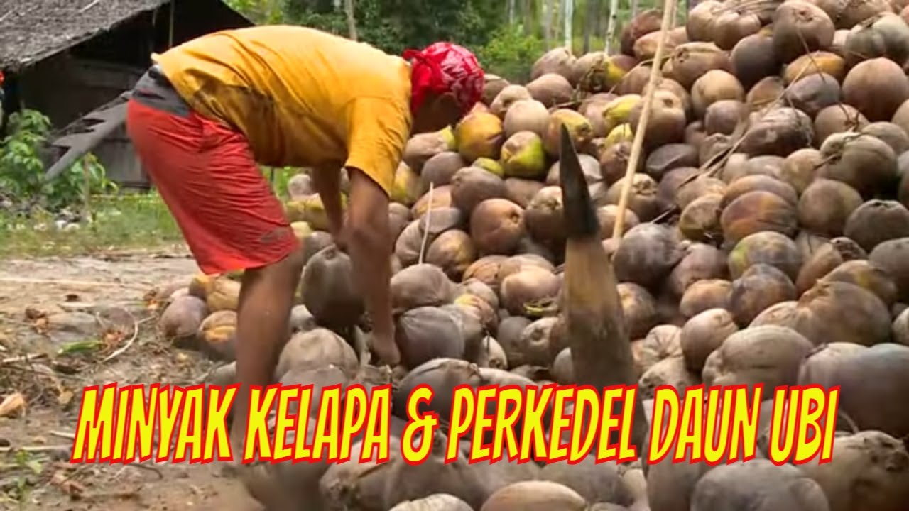 MINYAK KELAPA & PERKEDEL DAUN UBI | JEJAK SI GUNDUL (03/10/21)