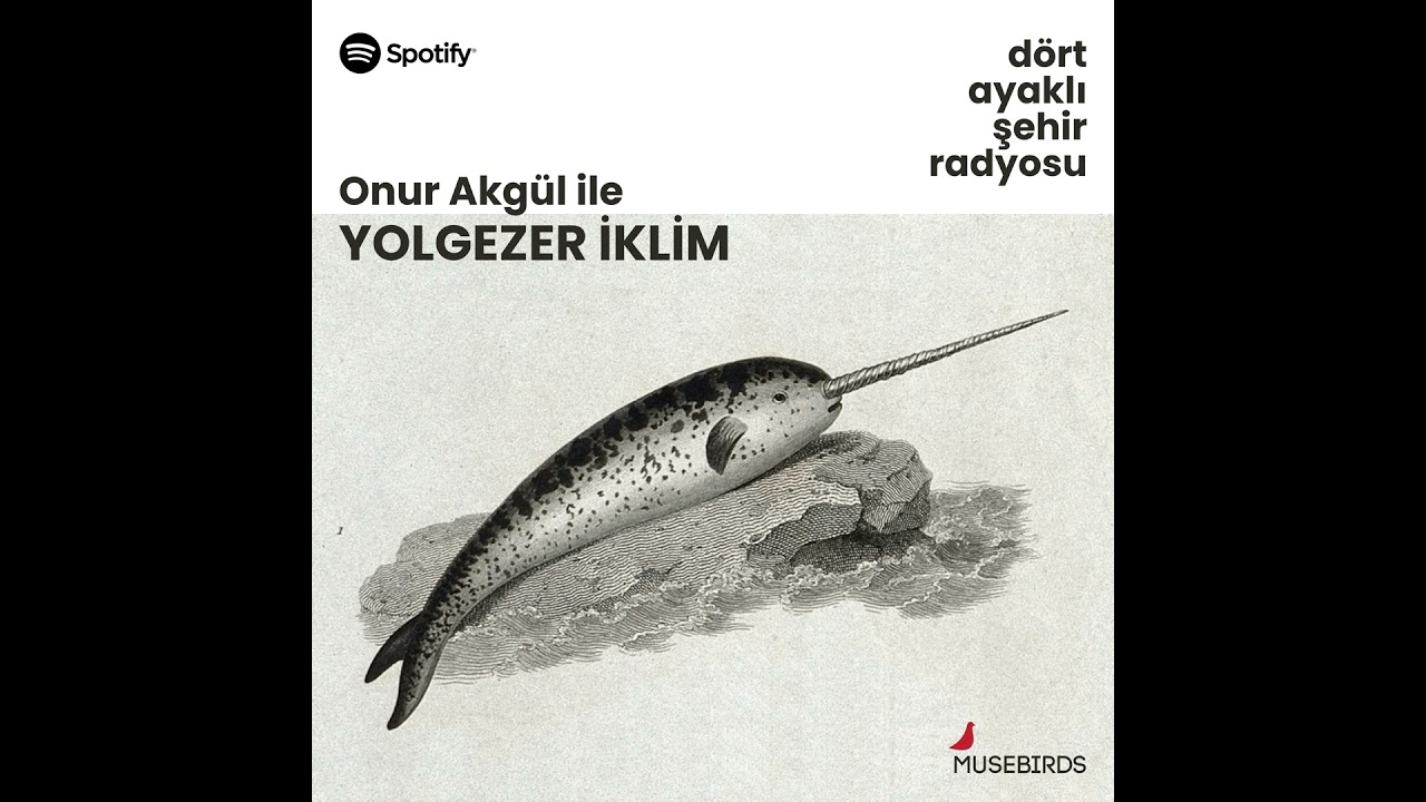 Yolgezer İklim - Onur Akgül | Zirvelerde Oturup Kalmışlar: Sergüzeşt-i COP30 - 1