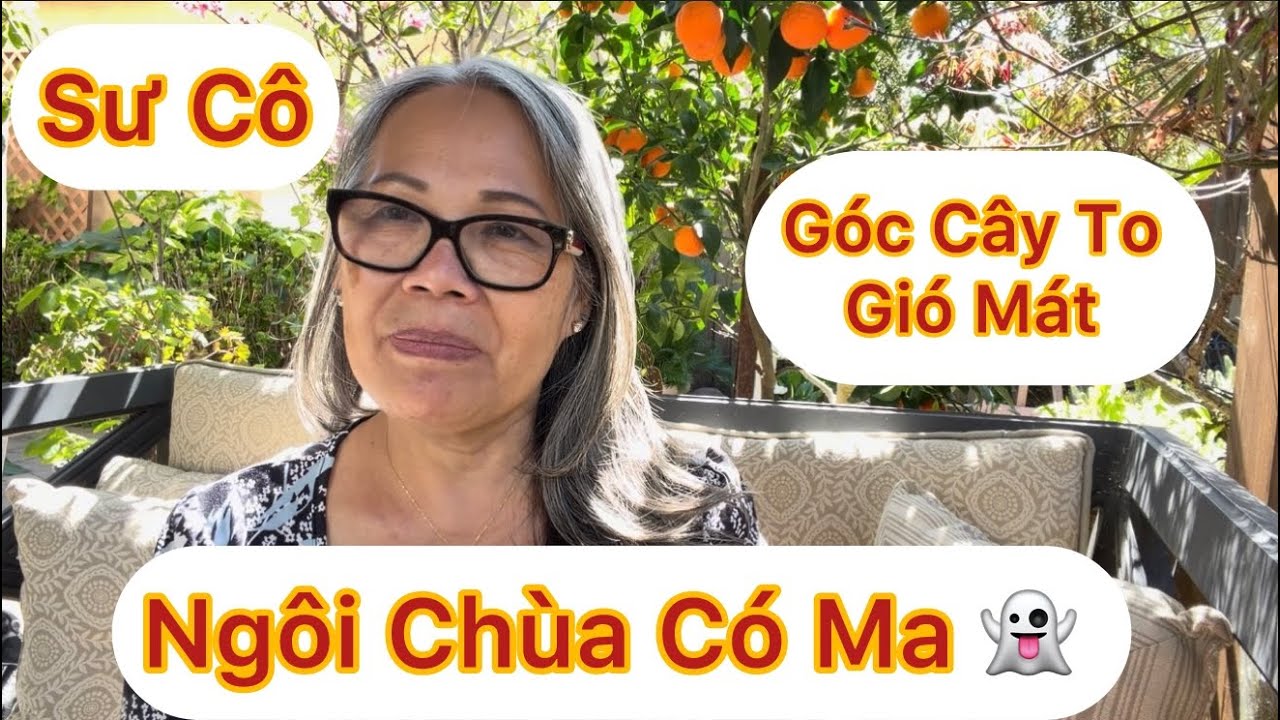 Эпизод 1980: Храм с привидениями — Большое дерево под сидящим в одиночестве человеком, пьющим чай.