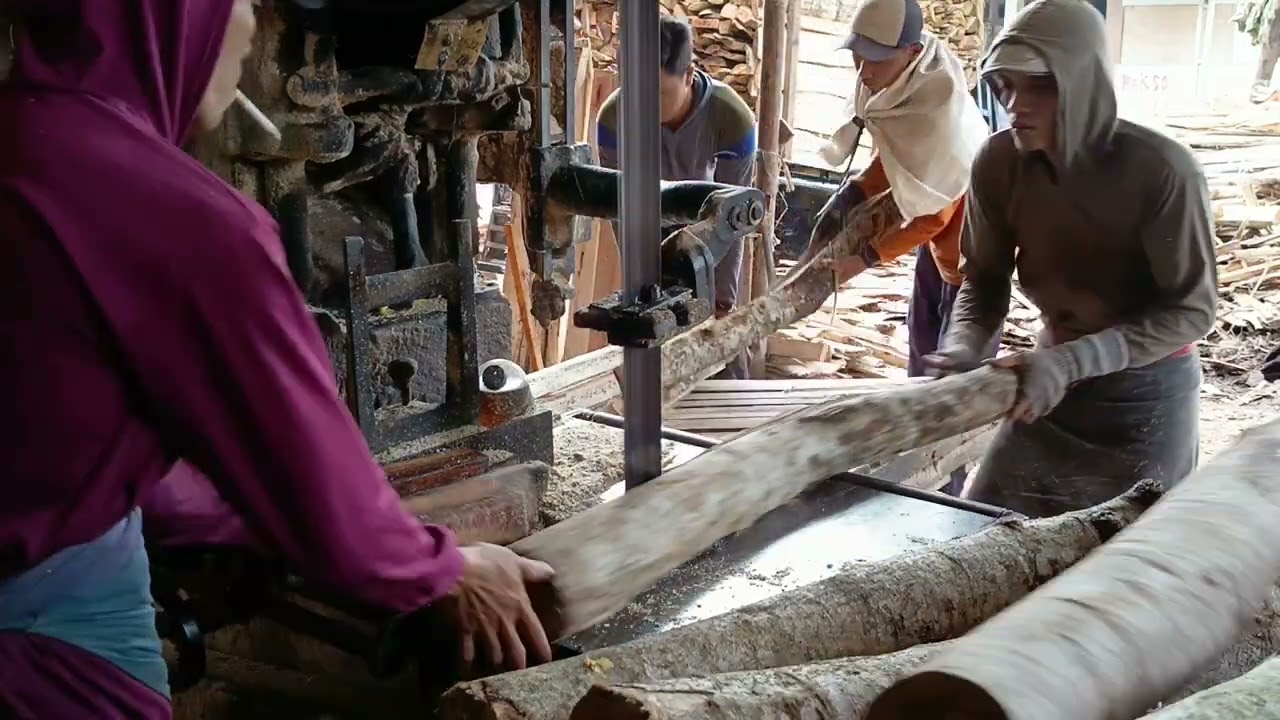 HASIL BERLIPAT POTONG KAYU SENGON 45 UP