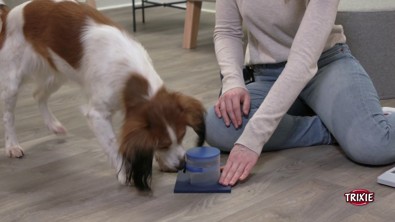 TRIXIE Heimtierbedarf - Dog Activity Strategiespiel Poker Box 2