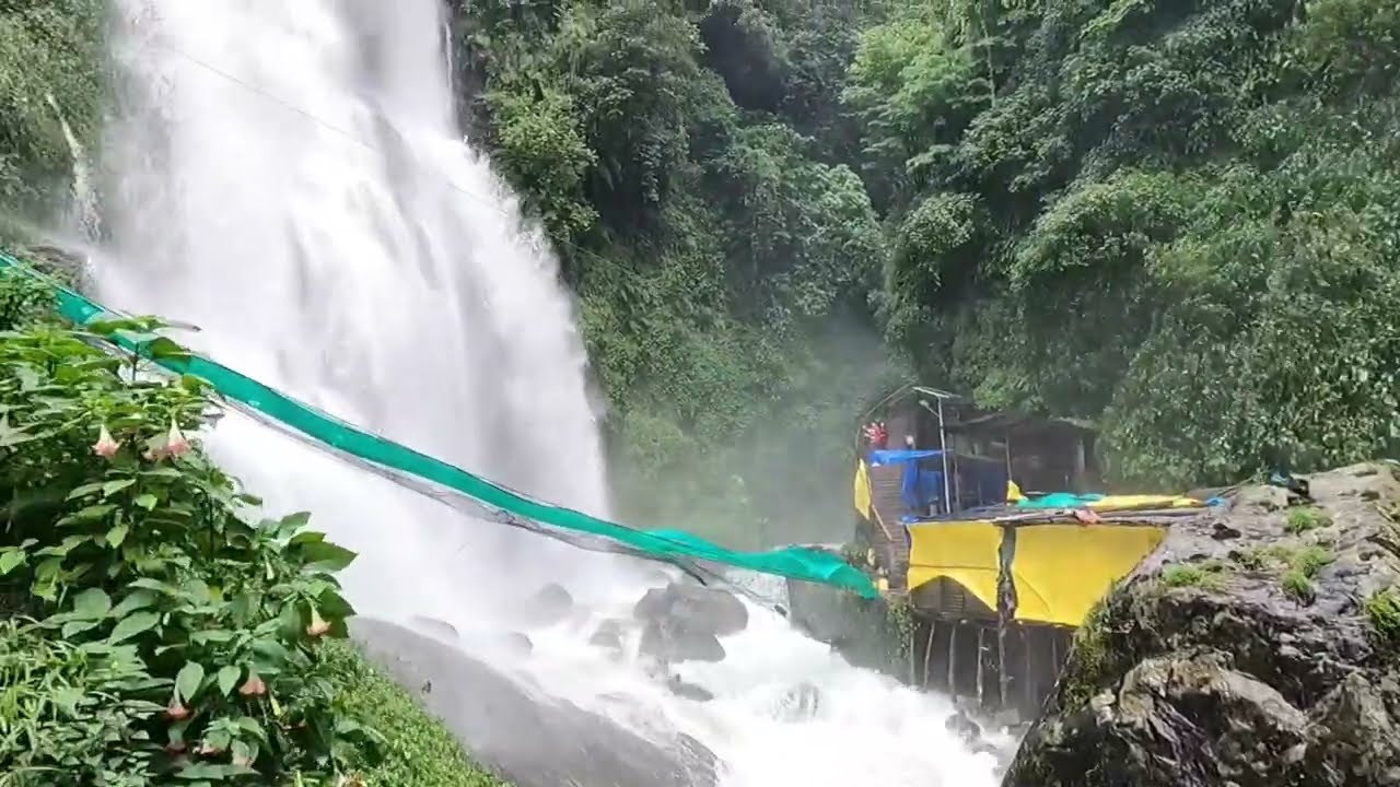 Exploring West Sikkim: Kanchenjunga Waterfalls, Rimbi Orange Garden & Pelling Skywalk