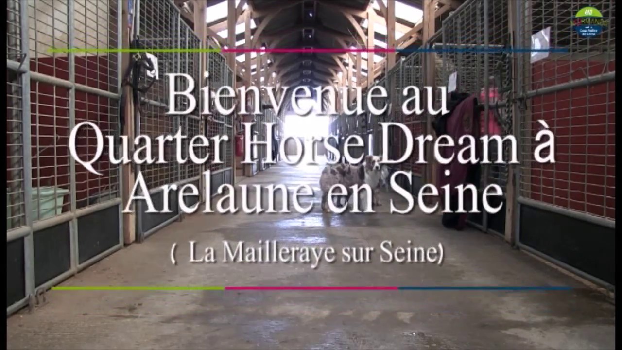 QUARTER HORSE DREAM