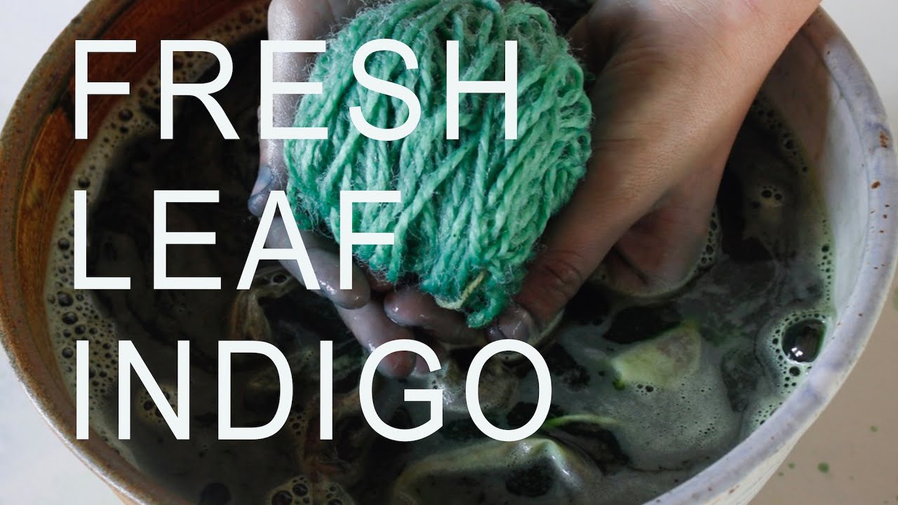 Fresh Leaf Indigo