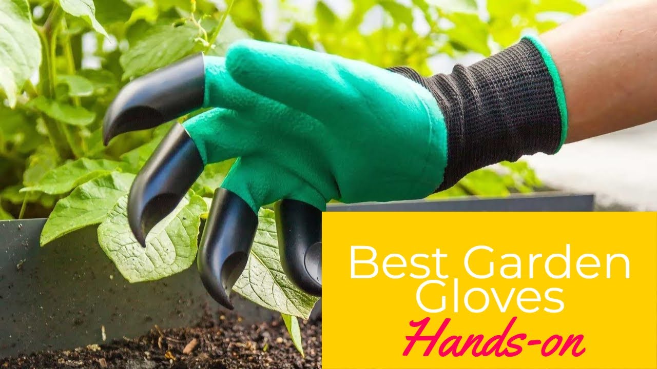 Best Garden Gloves in 2023 - To wear, or not to wear gloves?