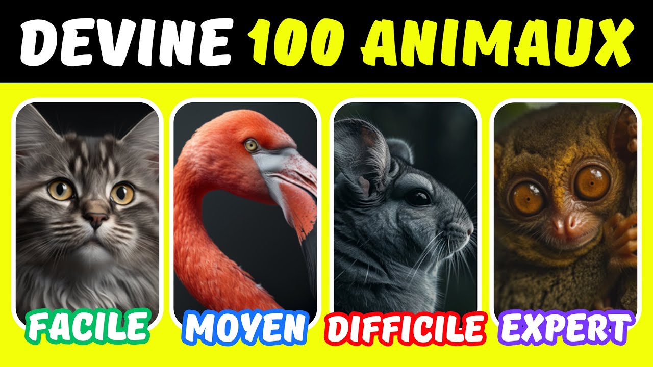 QUIZ ANIMAUX en Fran&ccedil;ais | Devine 100 animaux | Facile &agrave; Tr&egrave;s Difficile