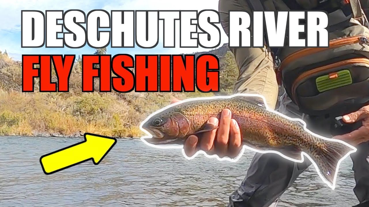 Deschutes River Fly Fishing - How to Find and Catch Big Trout - Seams, Shelfs, and Transitions