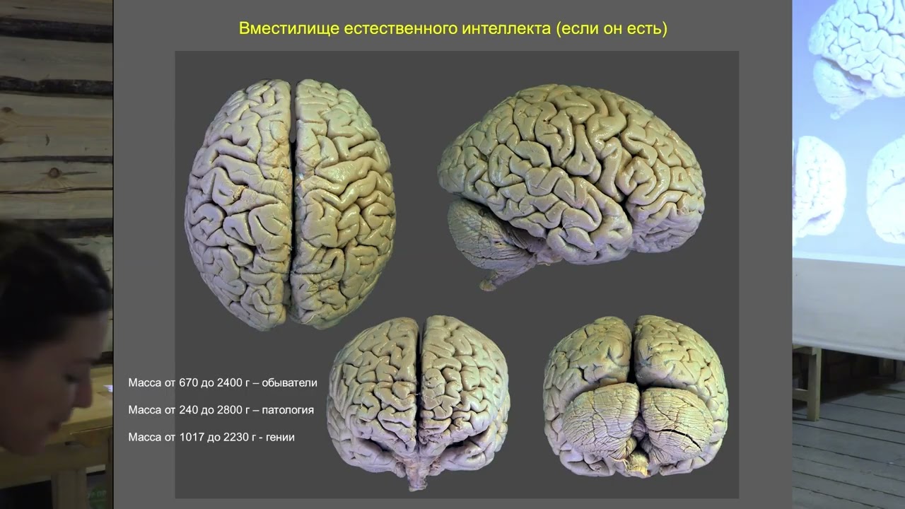 С В  Савельев - База о Мозге! часть 1