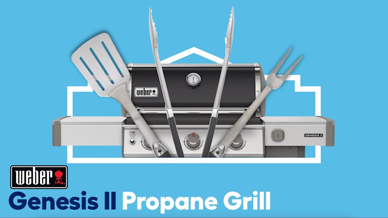 Weber Genesis II E-315 Propane Grill