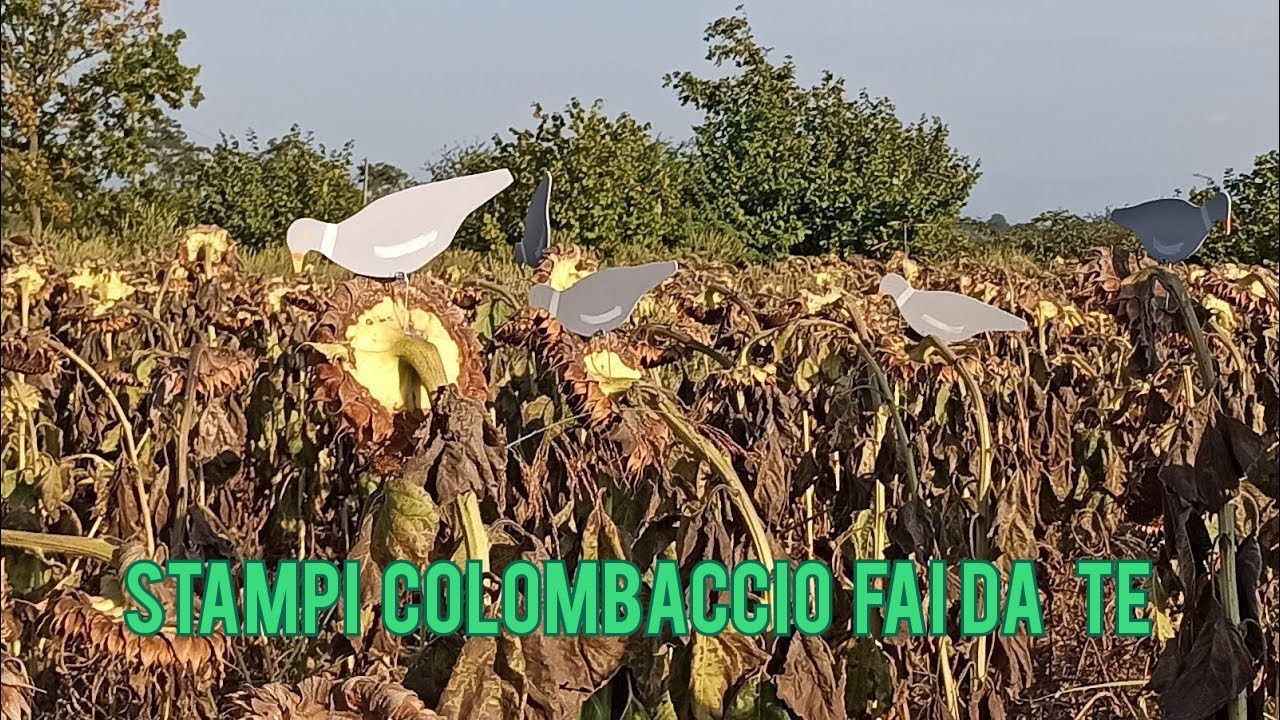 Stampi COLOMBACCIO fai da te - WOOD PIGEON decoys homemade