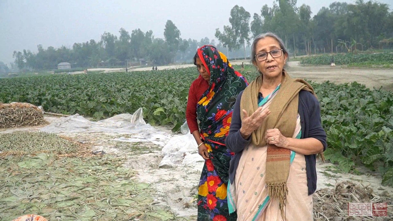 ক্ষতিকর ধোঁয়াবিহীন তামাকের জন্যে মতিহারি তামাক চাষ ।। ফরিদা আখতার