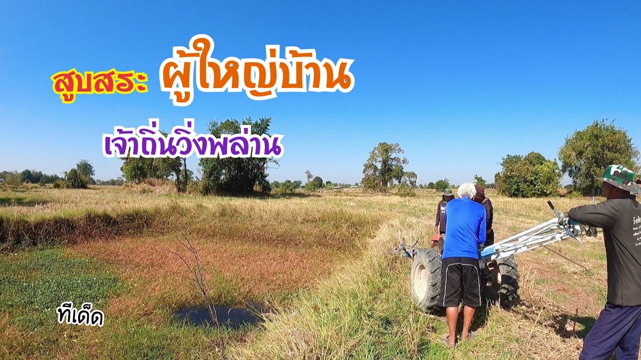 สูบสระผู้ใหญ่บ้าน ปลาสวยมากยังกะคัดมา เจ้าถิ่นวิ่งพล่านเต็มสระ