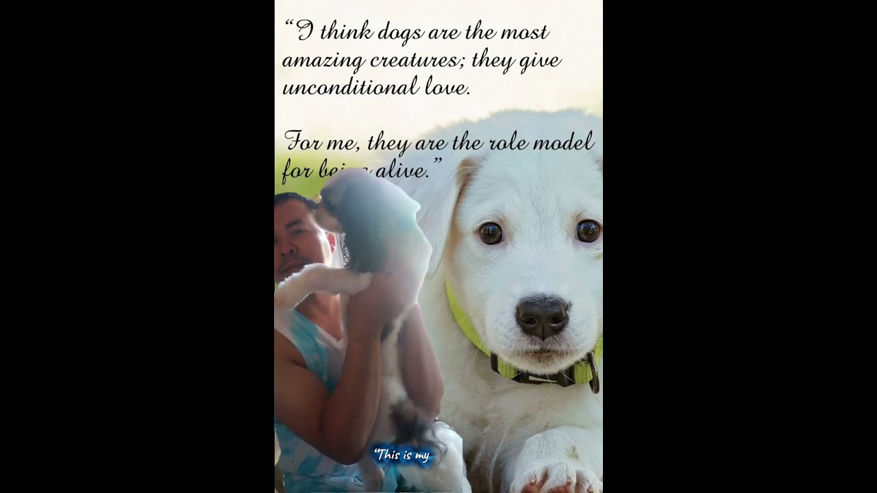 “No filters. No words needed.Just love.” 🐶❤️#DogLove #UnconditionalLove #MyBestFriend #DogVideo