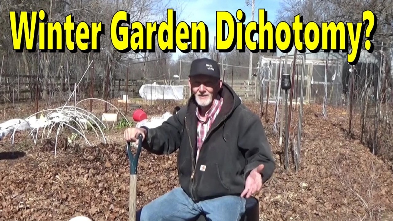 Deep Mulch Winter Garden Dichotomy