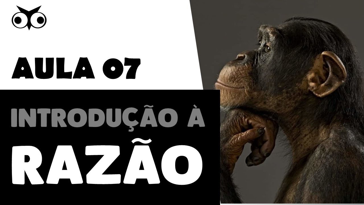 Introdu&ccedil;&atilde;o &agrave; raz&atilde;o | Introdu&ccedil;&atilde;o Geral &agrave; Filosofia | Prof. Vitor Lima | Aula 07