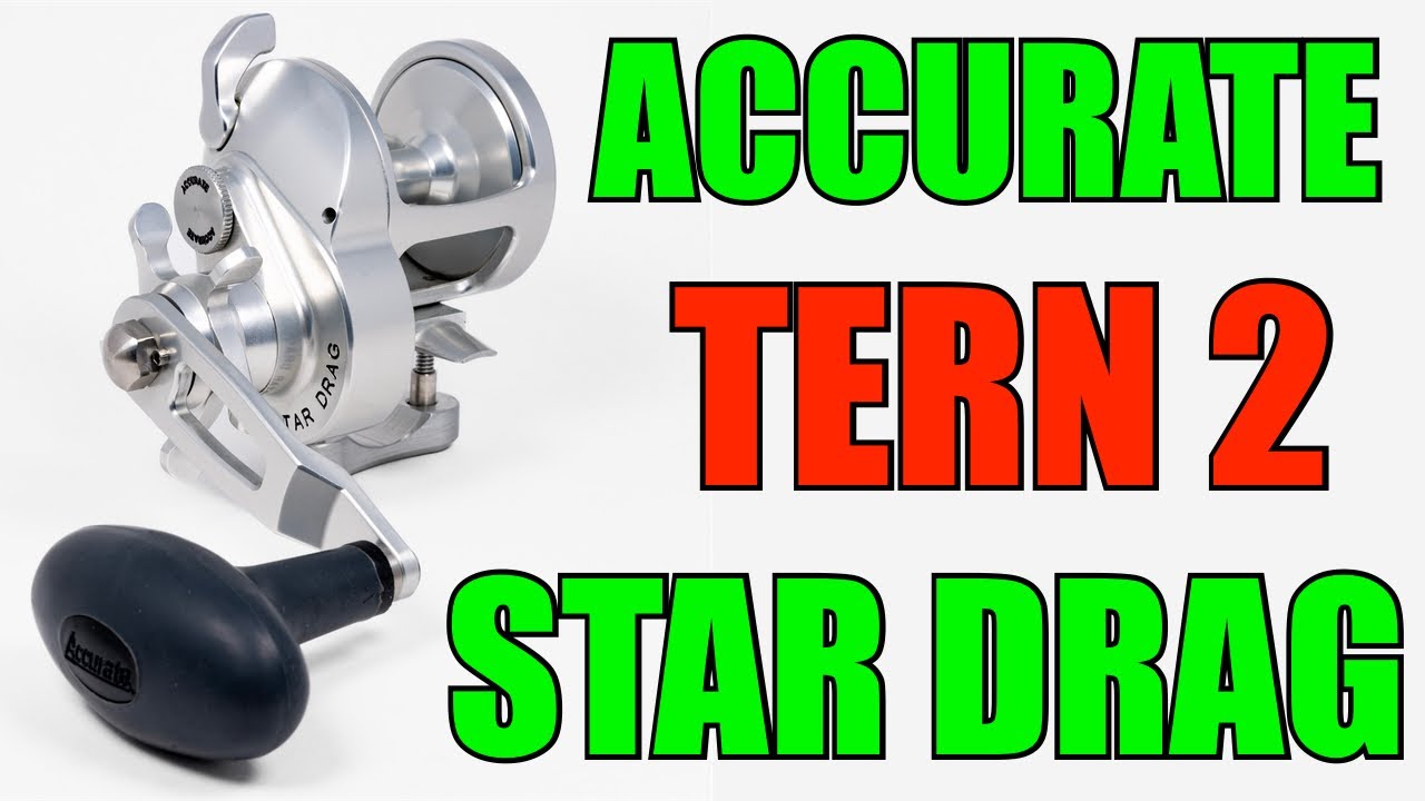 Accurate Tern 2 Star Drag Reels Preview | J&H Tackle