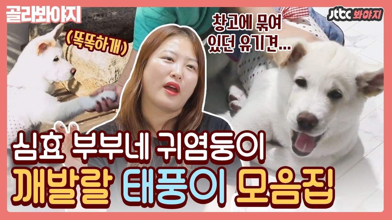 [골라봐야지] ＂태풍아~ x100＂ 귀여운 씬스틸러 태풍이♥ 소중해서 다 모아봤지요😉｜1호가될순없어｜JTBC 210117 방송 외