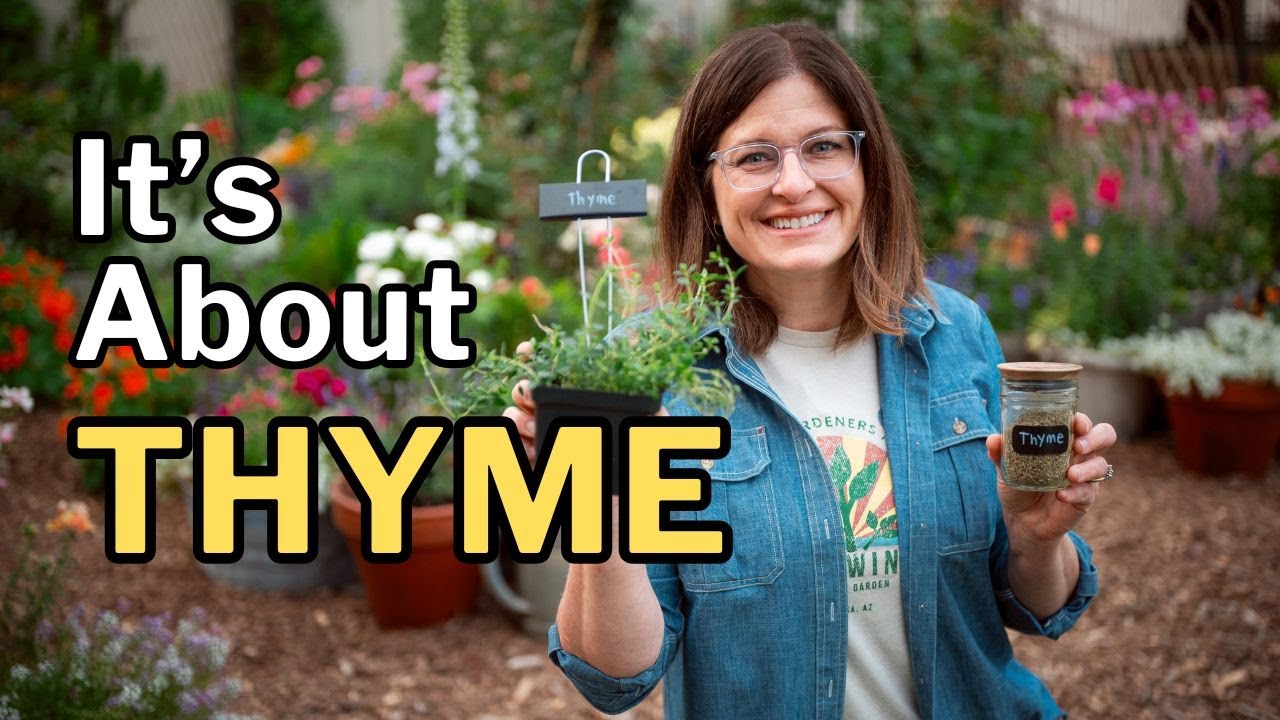 THYME GROWING GUIDE: 5 Tips for Success