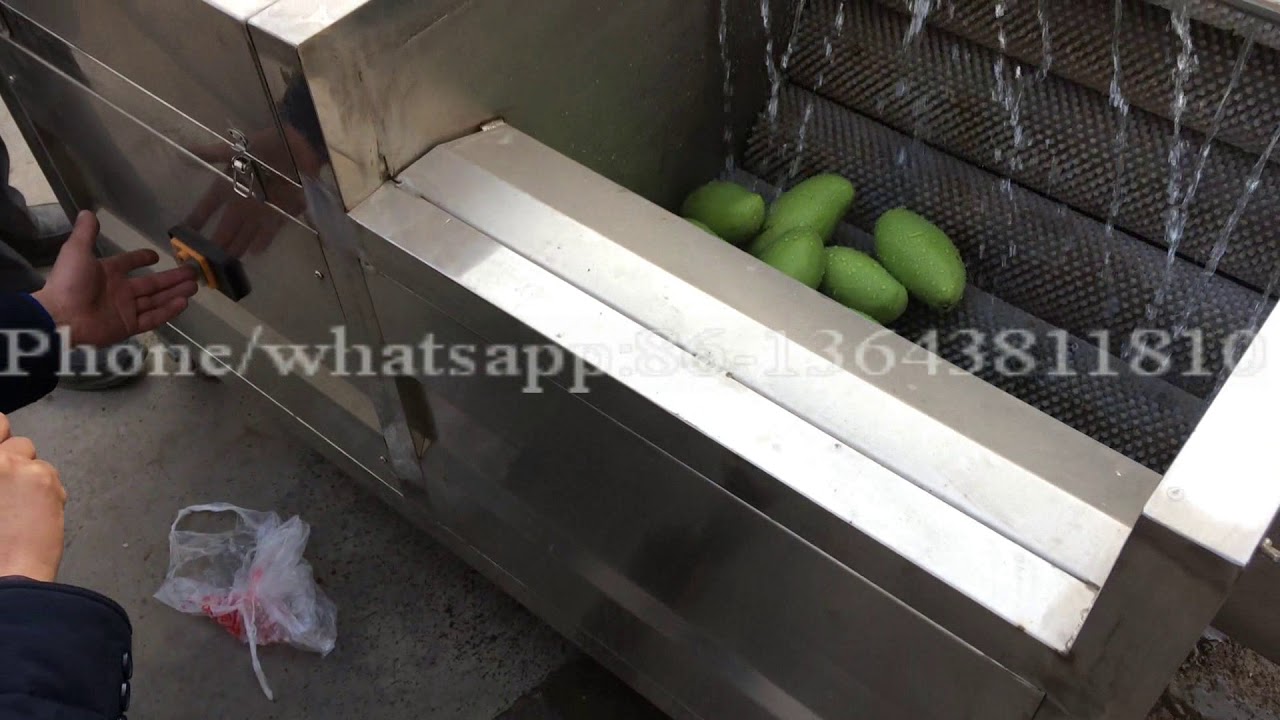 Mango roller washing machine-Elisa