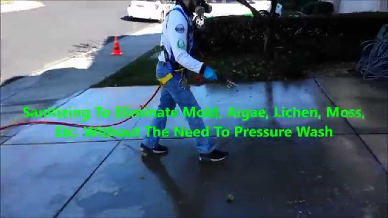 SoftWash Driveway and Walkway Sanitation To Eliminate Mold Algae Lichen Moss