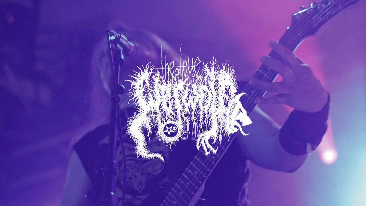THE TRUE WERWOLF | STEELFEST OPEN AIR FESTIVAL 2025