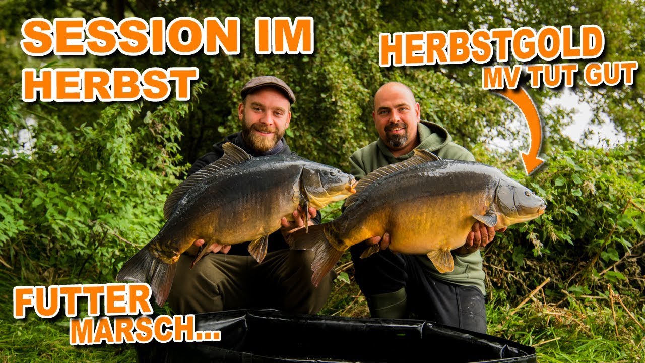 MV Herbstgold - Karpfenangeln im Herbst am Natursee