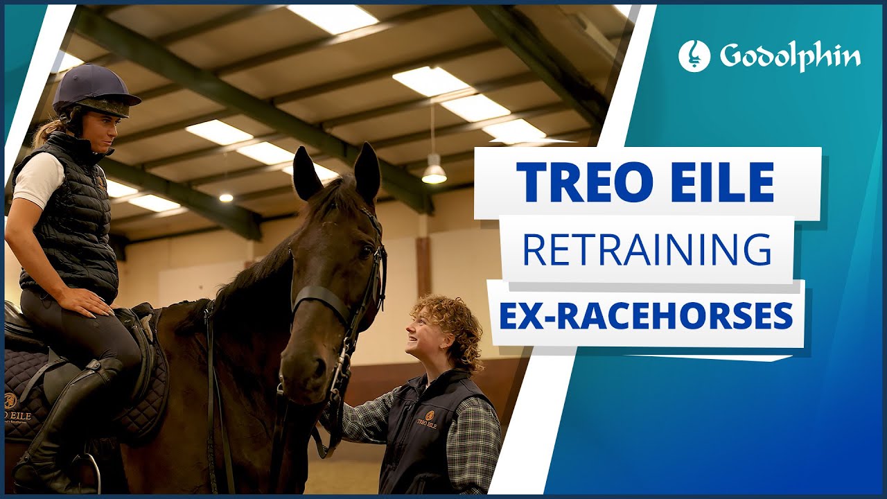 Treo Eile - retraining ex-racehorses