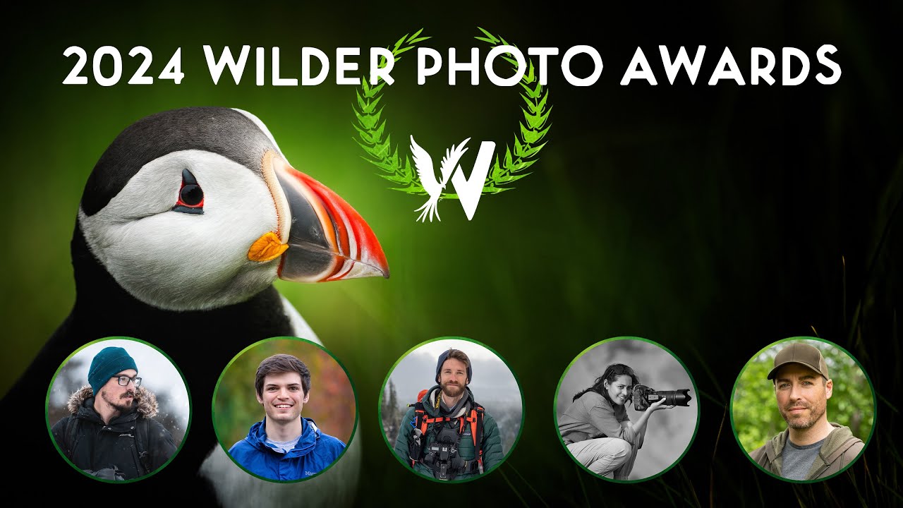 2024 Wilder Photography Competition - LIVE EVENT